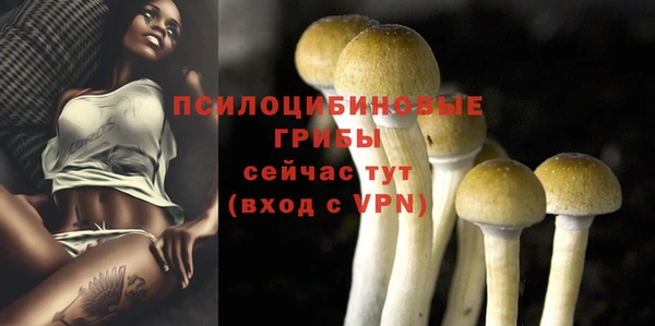 герыч Семикаракорск