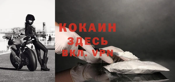 твердый Инта