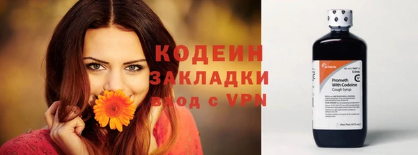 твердый Верея