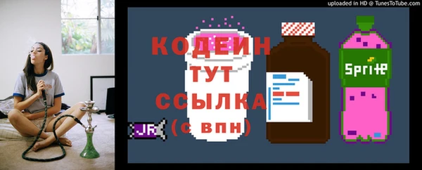 молекула духа Семилуки