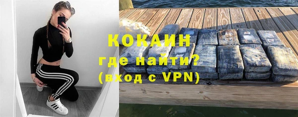 молекула духа Семилуки