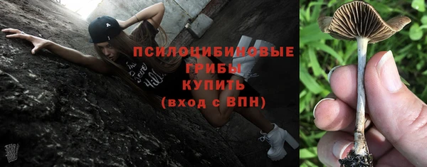 твердый Верея