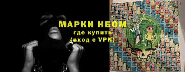 молекула духа Семилуки